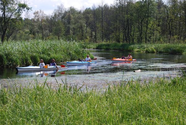 Najlepsze hotele na Mazurach - odkryj luksusowe wypoczywanie z pysznym jedzeniem